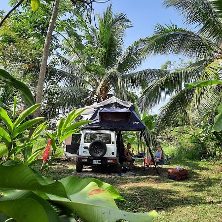 La Munequita Lodge 1 - Culture & Nature Experience Palmar Norte Ngoại thất bức ảnh