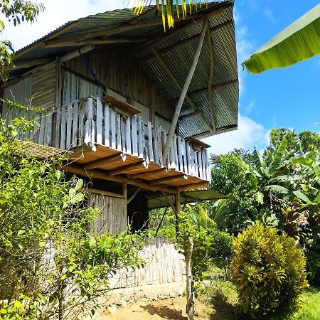 La Munequita Lodge 1 - Culture & Nature Experience Palmar Norte Ngoại thất bức ảnh