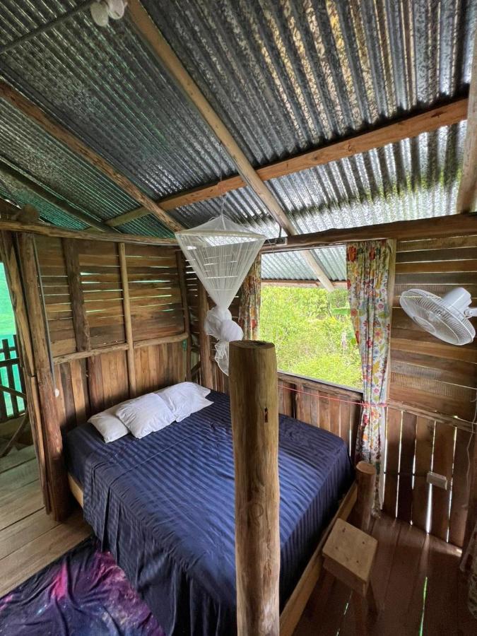 La Munequita Lodge 1 - Culture & Nature Experience Palmar Norte Ngoại thất bức ảnh